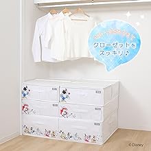 アストロ ／Disneyプリンセス　底板厚紙入り 不織布収納袋 