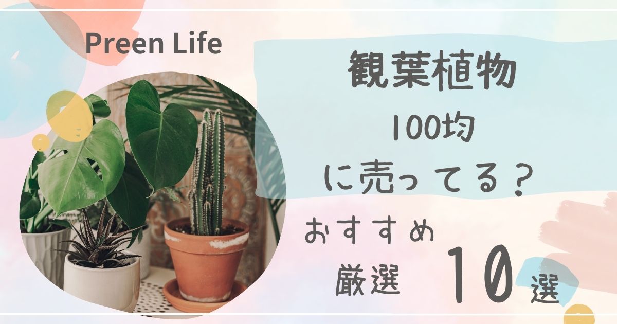 観葉植物