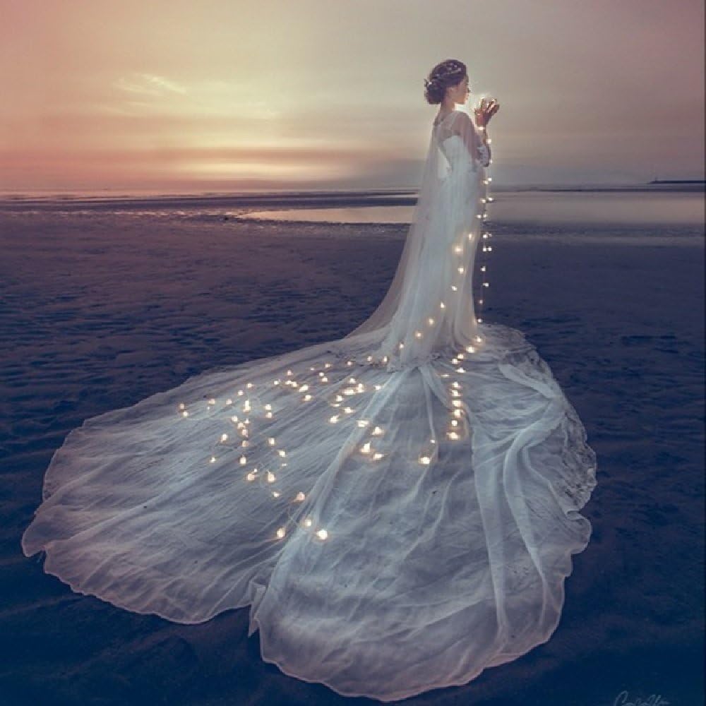 SFOUR フェアリーライト電飾led イルミネーション 6M40個