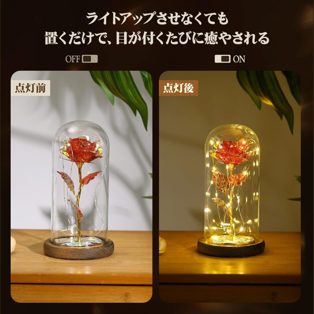 Lewondr/枯れない薔薇ガラスドーム