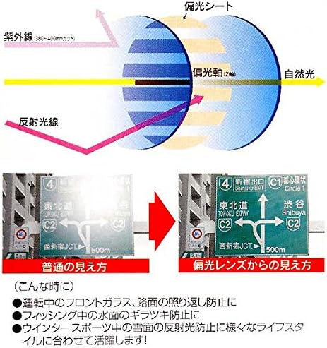 [コールマン] 偏光サングラス シャーリングガンメタル