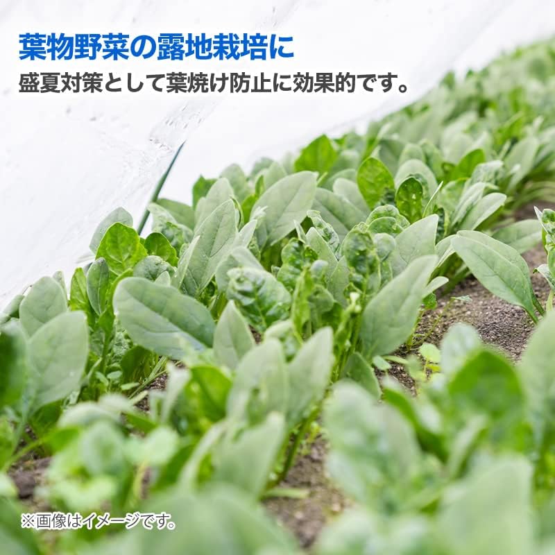 ダイオ/クールホワイト（遮光率約45%･2×2m）
